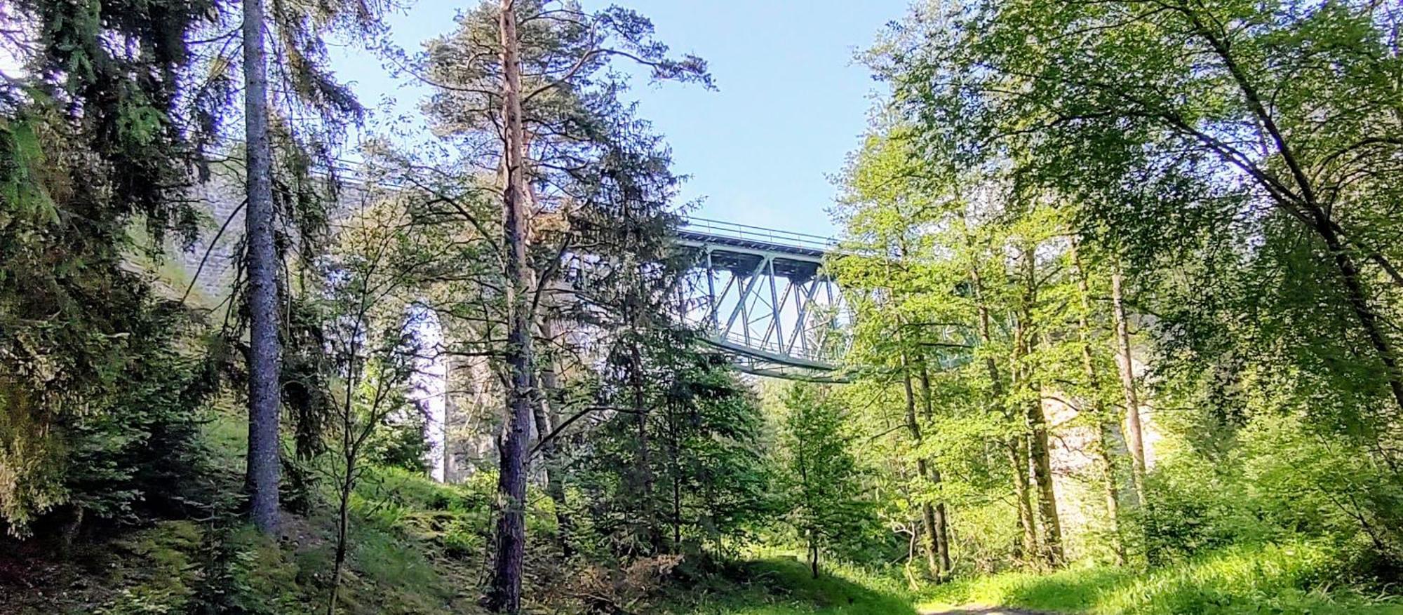 Ubytovani Sarka Čistá エクステリア 写真